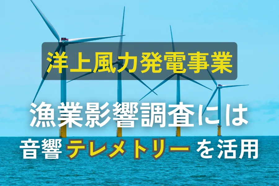 洋上風力発電事業における漁業、生物への影響評価に音響テレメトリ—機器の活用をご提案します